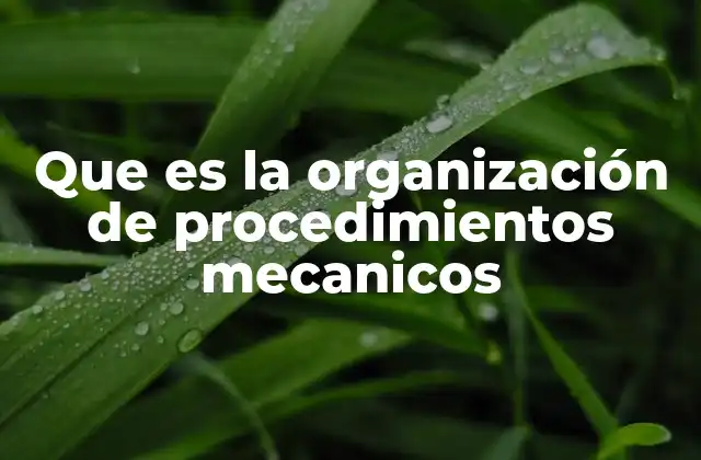 Que es la Organización de Procedimientos Mecanicos