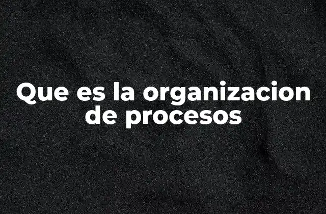 Que es la Organizacion de Procesos