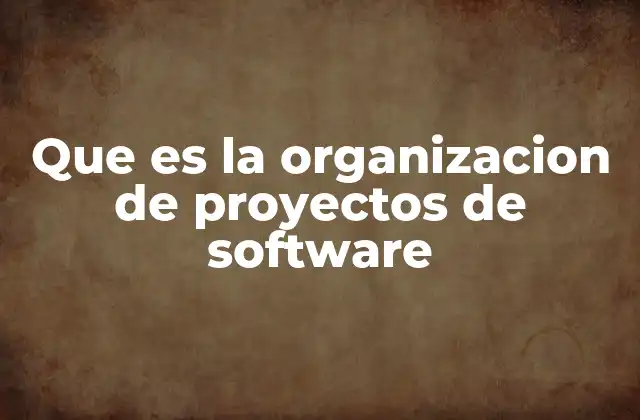 Que es la Organizacion de Proyectos de Software