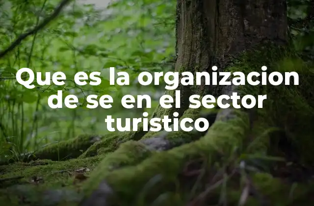 Que es la Organizacion de Se en el Sector Turistico