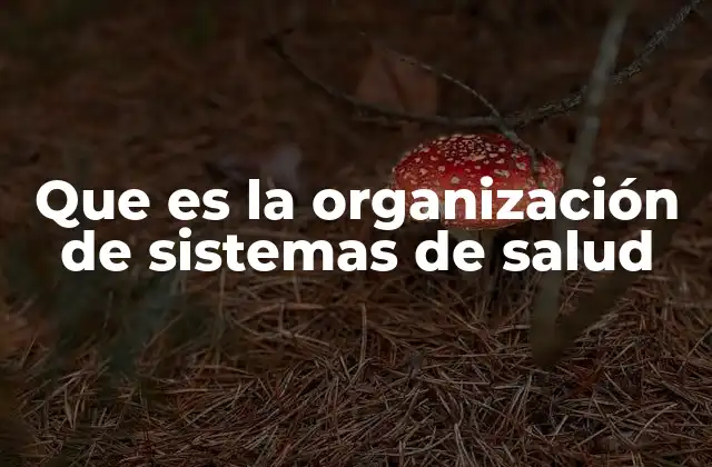 Que es la Organización de Sistemas de Salud
