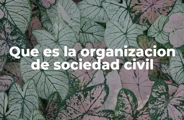 Que es la Organizacion de Sociedad Civil