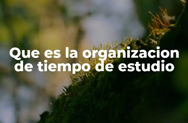 Que es la Organizacion de Tiempo de Estudio