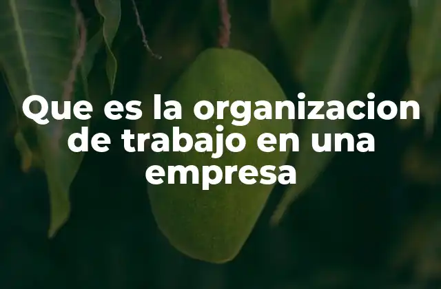 Que es la Organizacion de Trabajo en una Empresa