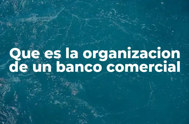 Que es la Organizacion de un Banco Comercial