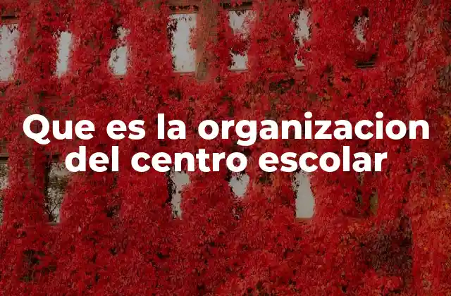 Que es la Organizacion Del Centro Escolar