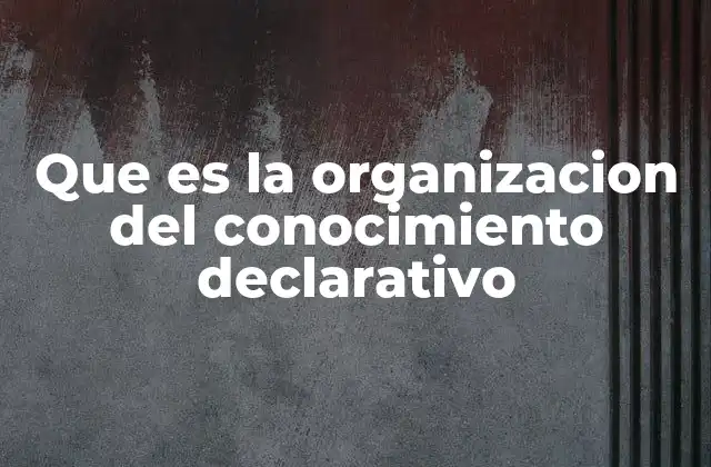 Que es la Organizacion Del Conocimiento Declarativo