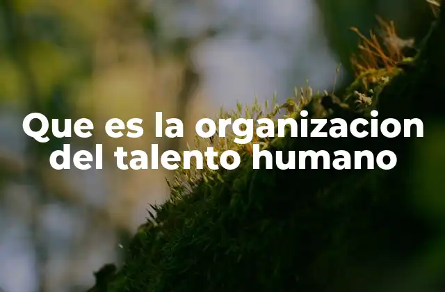 Que es la Organizacion Del Talento Humano