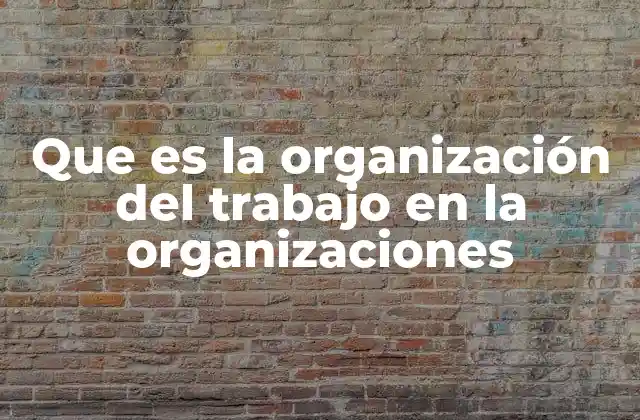 Que es la Organización Del Trabajo en la Organizaciones