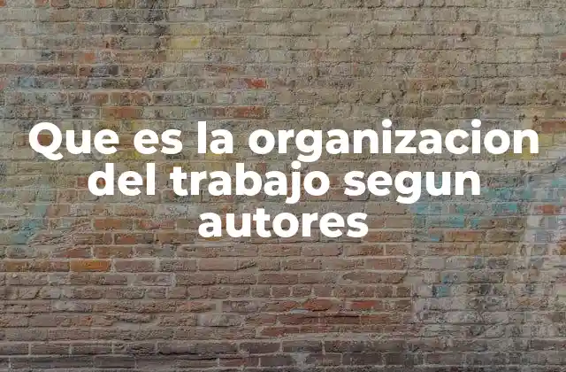 Que es la Organizacion Del Trabajo Segun Autores