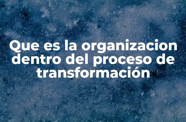 Que es la Organizacion Dentro Del Proceso de Transformación