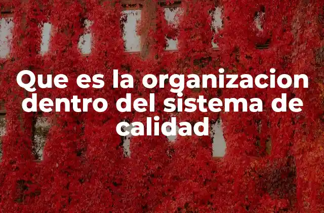 Que es la Organizacion Dentro Del Sistema de Calidad
