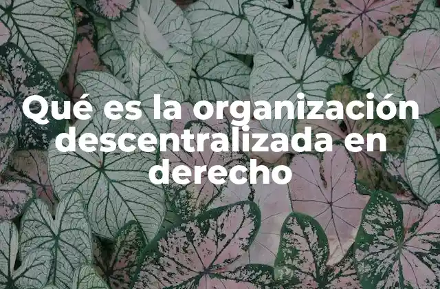 Qué es la Organización Descentralizada en Derecho