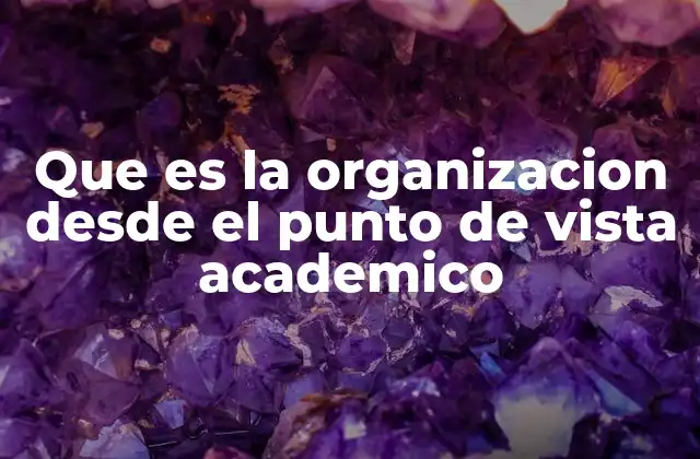 Que es la Organizacion desde el Punto de Vista Academico
