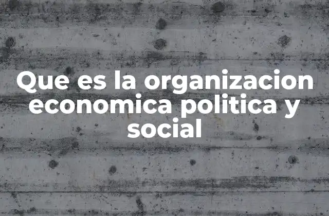Que es la Organizacion Economica Politica y Social