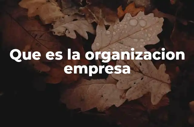 Que es la Organizacion Empresa