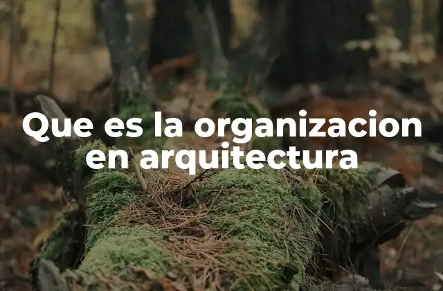 Que es la Organizacion en Arquitectura