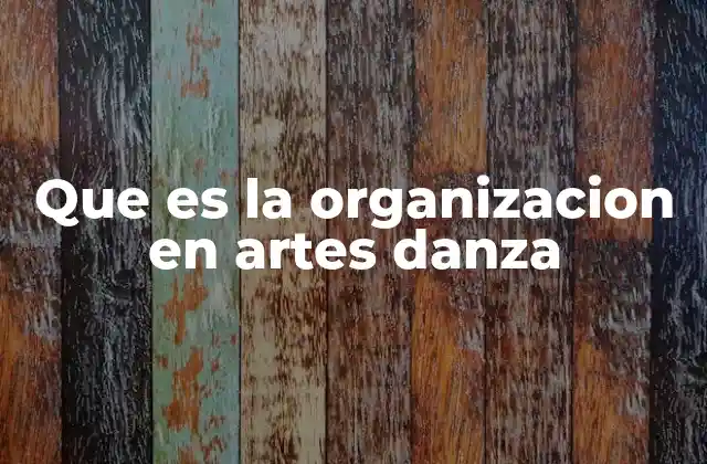Que es la Organizacion en Artes Danza