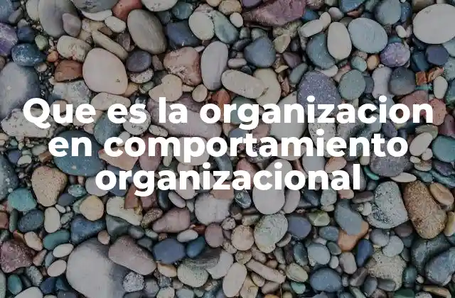 Que es la Organizacion en Comportamiento Organizacional