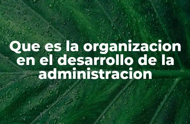 Que es la Organizacion en el Desarrollo de la Administracion