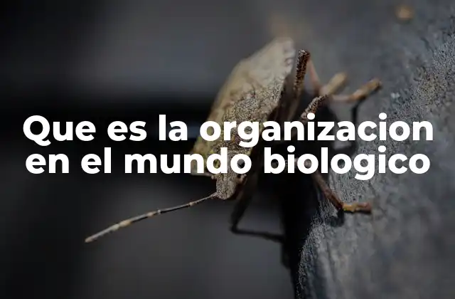 Que es la Organizacion en el Mundo Biologico