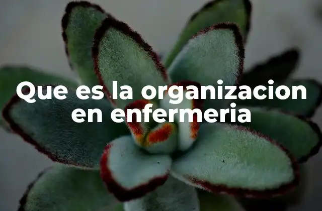 Que es la Organizacion en Enfermeria