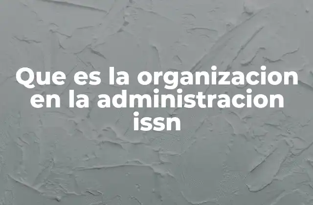 Que es la Organizacion en la Administracion Issn