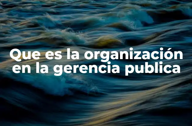 Que es la Organización en la Gerencia Publica