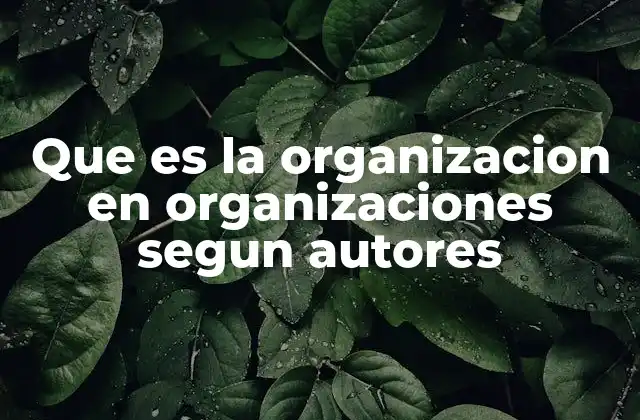 Que es la Organizacion en Organizaciones Segun Autores