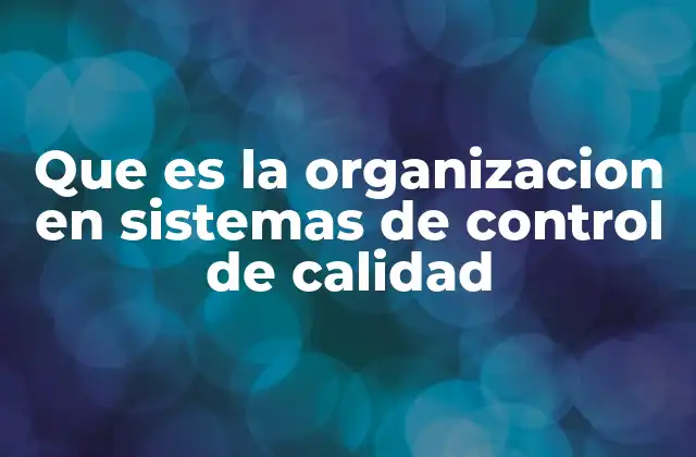 Que es la Organizacion en Sistemas de Control de Calidad