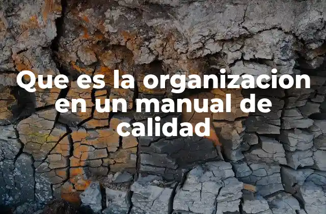 Que es la Organizacion en un Manual de Calidad