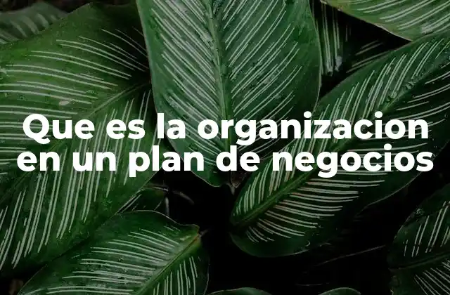 Que es la Organizacion en un Plan de Negocios