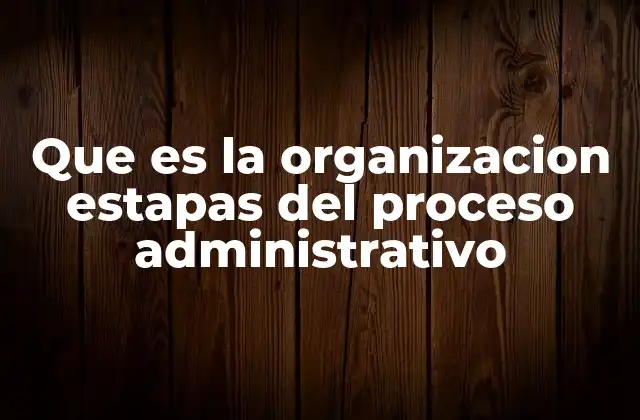 Que es la Organizacion Estapas Del Proceso Administrativo