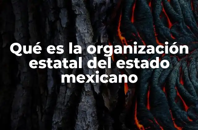 Qué es la Organización Estatal Del Estado Mexicano
