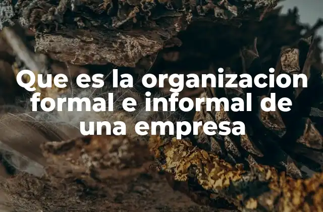 Que es la Organizacion Formal e Informal de una Empresa