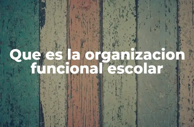 Que es la Organizacion Funcional Escolar
