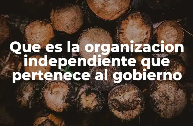 Que es la Organizacion Independiente que Pertenece Al Gobierno