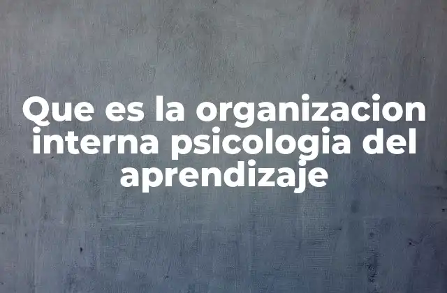 Que es la Organizacion Interna Psicologia Del Aprendizaje