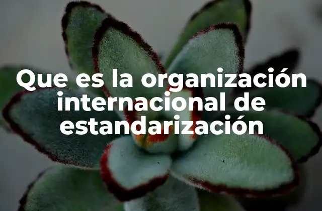 Que es la Organización Internacional de Estandarización