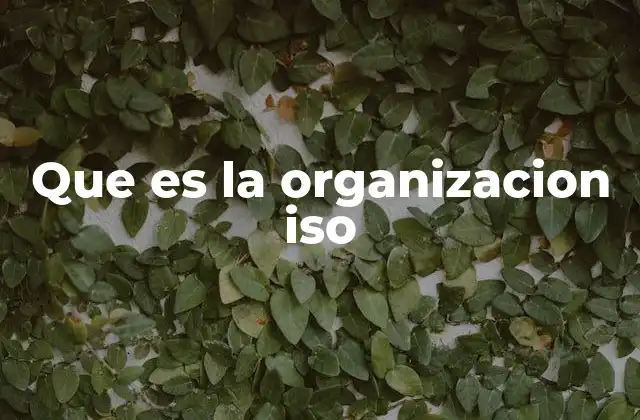 Que es la Organizacion Iso