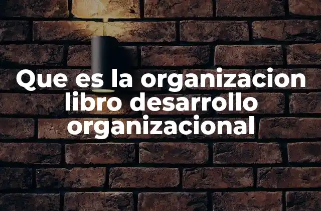 Que es la Organizacion Libro Desarrollo Organizacional