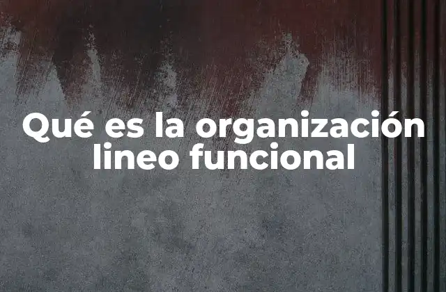 Qué es la Organización Lineo Funcional