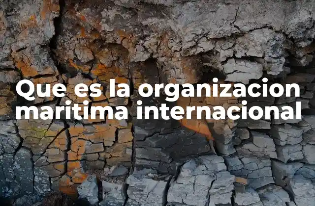 Que es la Organizacion Maritima Internacional