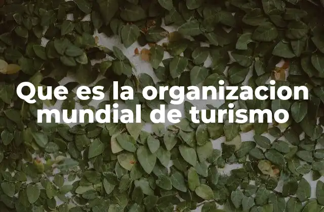 Que es la Organizacion Mundial de Turismo