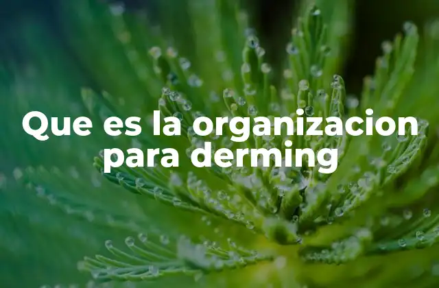 Que es la Organizacion para Derming