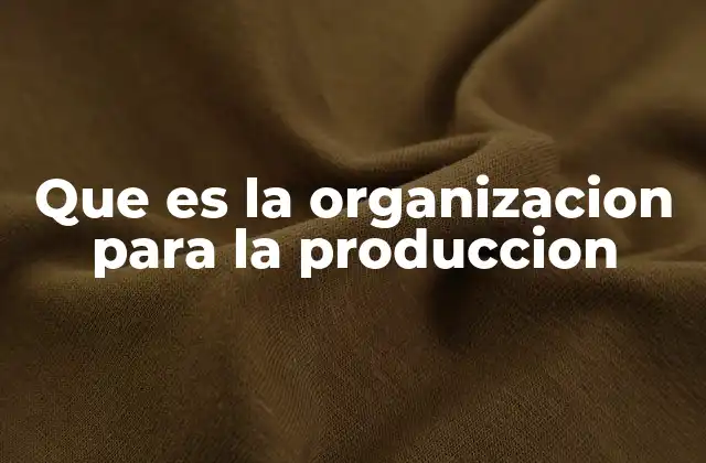 Que es la Organizacion para la Produccion