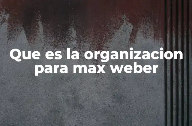 Que es la Organizacion para Max Weber
