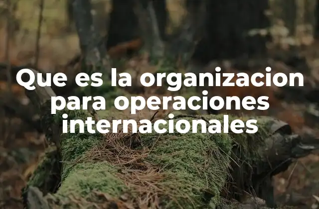 Que es la Organizacion para Operaciones Internacionales