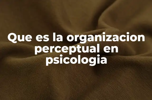 Que es la Organizacion Perceptual en Psicologia