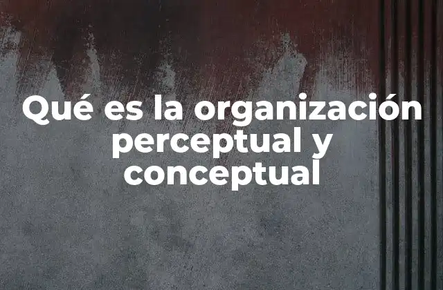 Qué es la Organización Perceptual y Conceptual